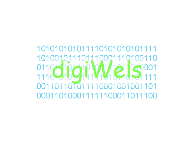 logo digiwels
